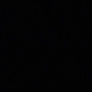 Meet your Posher, Lilli